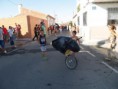 /album/toros/p9063021-jpg/