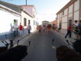 /album/toros/p9063032-jpg/