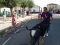 /album/toros/p9063056-jpg/