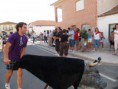 /album/toros/p9063060-jpg/