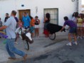 /album/toros/p9063062-jpg/