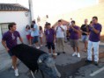 /album/toros/p9063063-jpg/