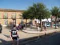/album/toros/p9063066-jpg/