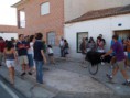 /album/toros/p9063074-jpg/