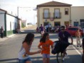/album/toros/p9063075-jpg/