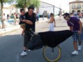 /album/toros/p9063081-jpg/