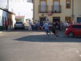 /album/toros/p9063095-jpg/