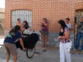 /album/toros/p9063103-jpg/